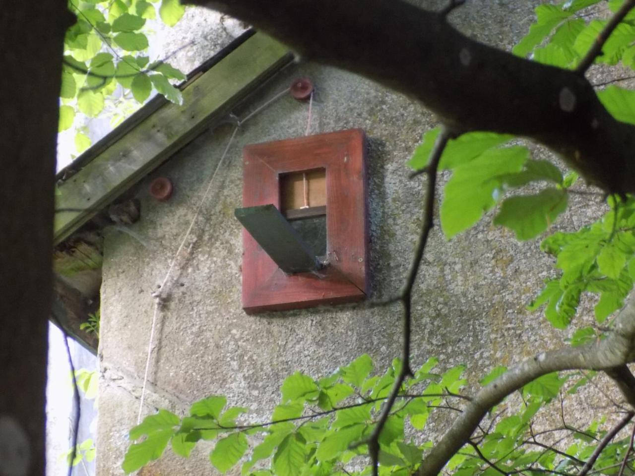 B&B Les Tilleuls Vielsalm Exteriér fotografie